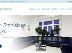 Realizované stránky - Diabetologie Kladno