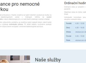 Realizované stránky - Diabetologie Kladno